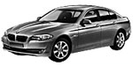 BMW F10 C1781 Fault Code